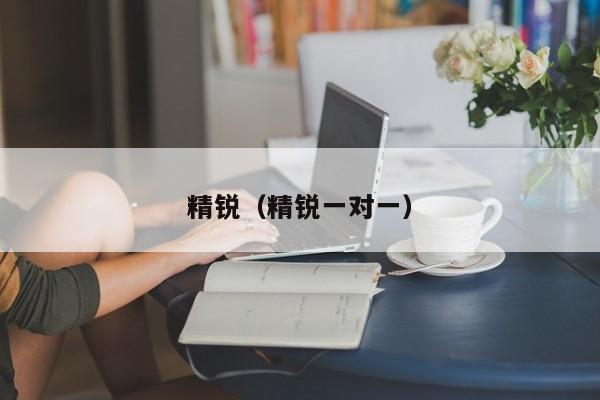 精锐(精锐一对一)