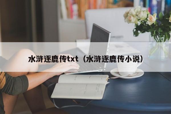 水浒逐鹿传txt(水浒逐鹿传小说)