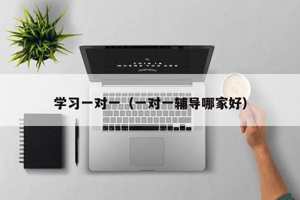 学习一对一(一对一辅导哪家好)