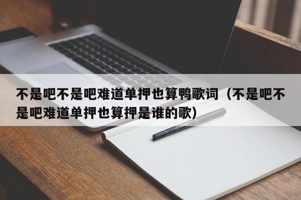 不是吧不是吧难道单押也算鸭歌词(不是吧不是吧难道单押也算押是谁的歌)
