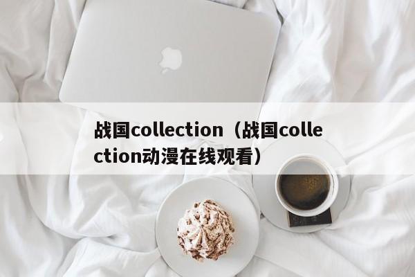战国collection(战国collection动漫在线观看)