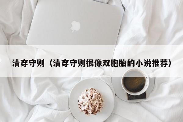 清穿守则(清穿守则很像双胞胎的小说推荐)