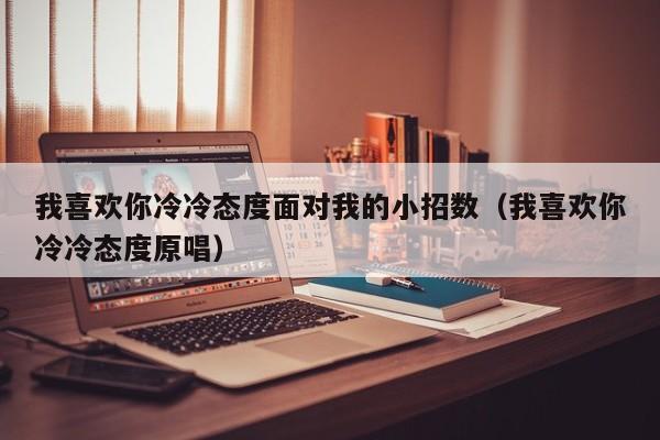 我喜欢你冷冷态度面对我的小招数(我喜欢你冷冷态度原唱)