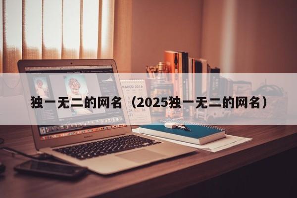 独一无二的网名(2025独一无二的网名)