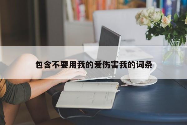包含不要用我的爱伤害我的词条