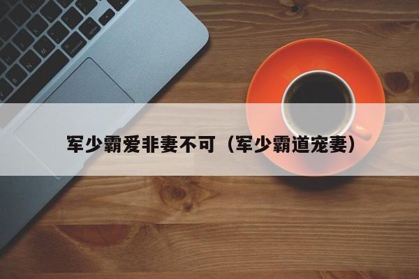 军少霸爱非妻不可(军少霸道宠妻)