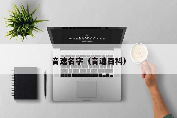 音速名字(音速百科)