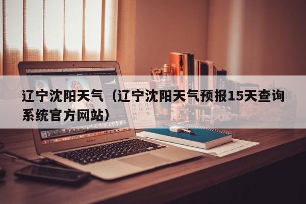 辽宁沈阳天气(辽宁沈阳天气预报15天查询系统官方网站)
