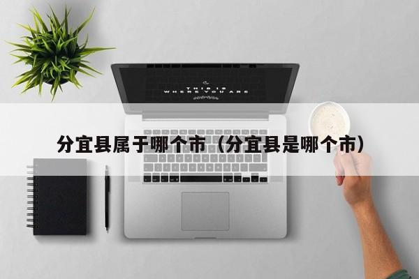分宜县属于哪个市(分宜县是哪个市)