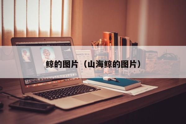 鲸的图片(山海鲸的图片)