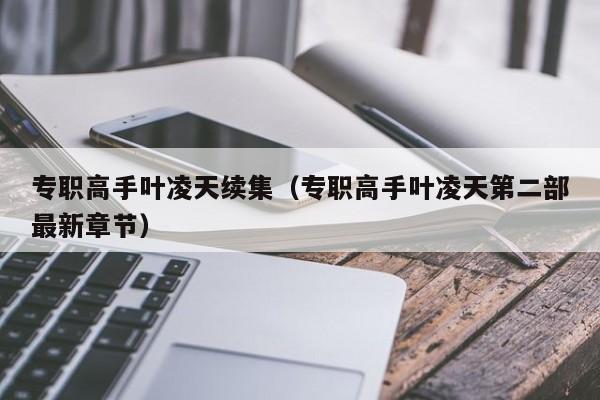 专职高手叶凌天续集(专职高手叶凌天第二部最新章节)