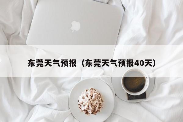 东莞天气预报(东莞天气预报40天)