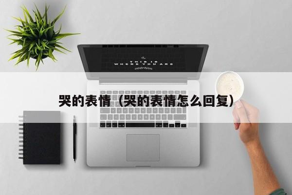 哭的表情(哭的表情怎么回复)