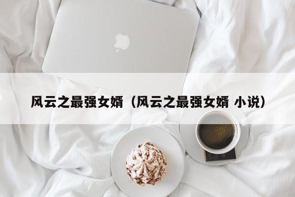 风云之最强女婿(风云之最强女婿 小说)