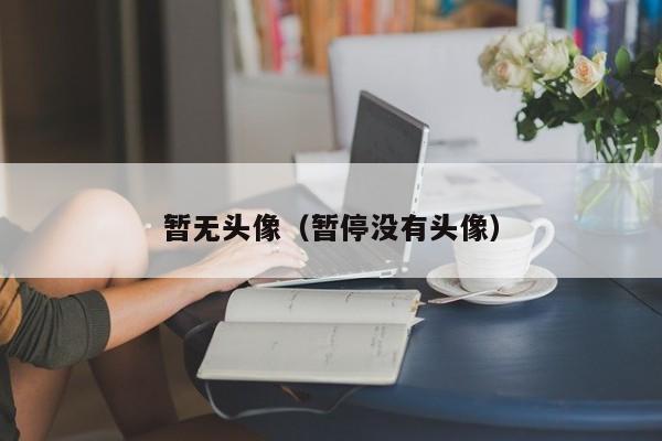 暂无头像(暂停没有头像)