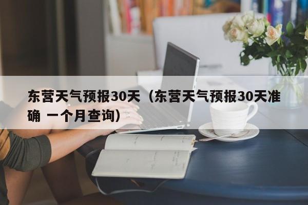 东营天气预报30天(东营天气预报30天准确 一个月查询)