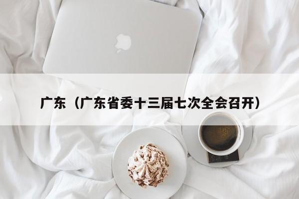 广东(广东省委十三届七次全会召开)