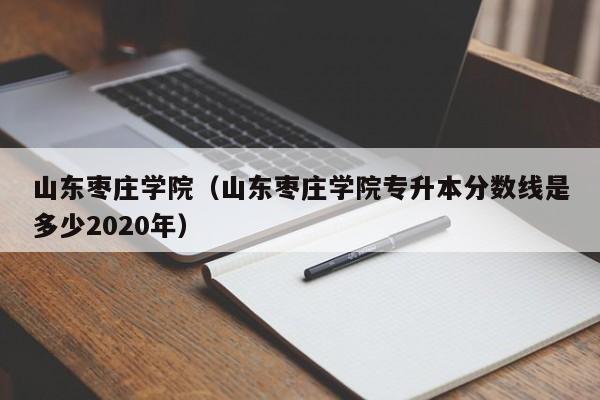 山东枣庄学院(山东枣庄学院专升本分数线是多少2020年)