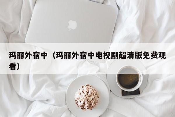 玛丽外宿中(玛丽外宿中电视剧超清版免费观看)