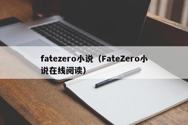 fatezero小说(FateZero小说在线阅读)