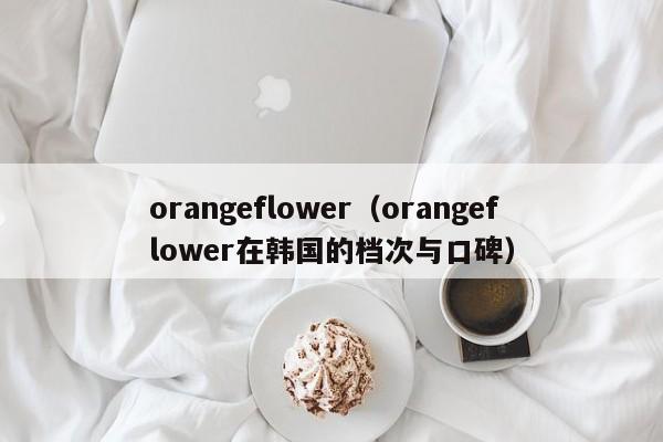 orangeflower(orangeflower在韩国的档次与口碑)