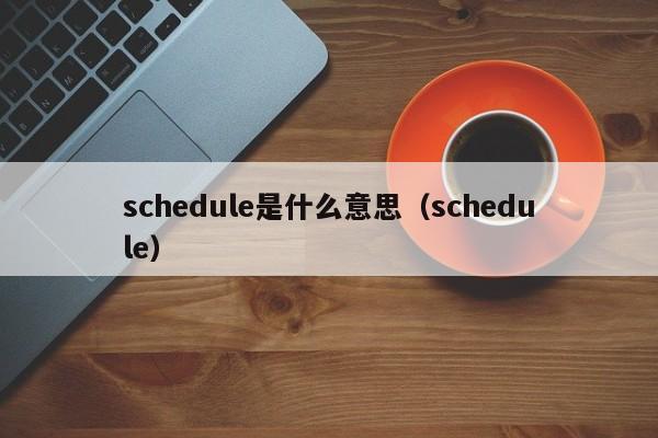 schedule是什么意思(schedule)