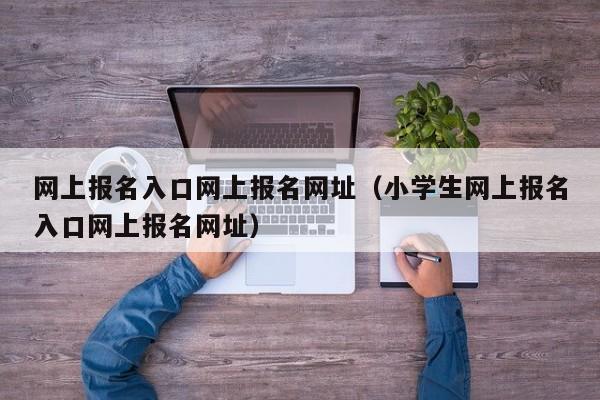 网上报名入口网上报名网址(小学生网上报名入口网上报名网址)