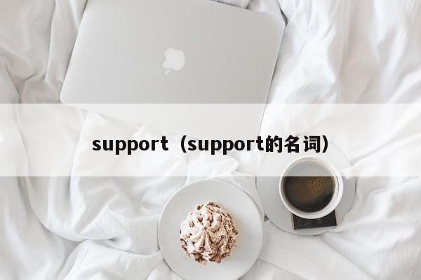 support(support的名词)