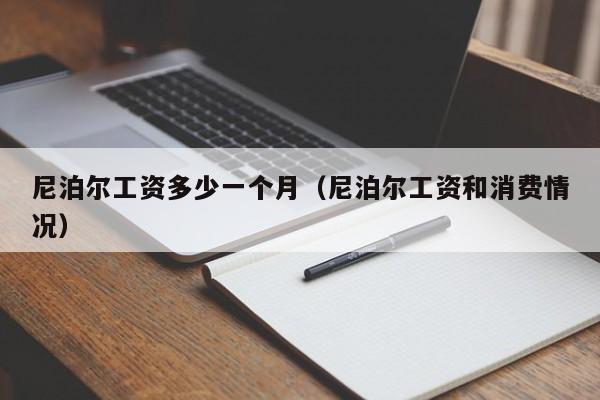 尼泊尔工资多少一个月(尼泊尔工资和消费情况)
