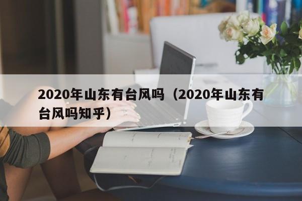 2020年山东有台风吗(2020年山东有台风吗知乎)