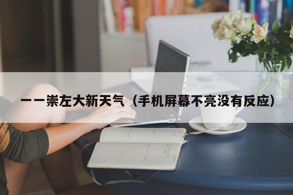 一一崇左大新天气(手机屏幕不亮没有反应)