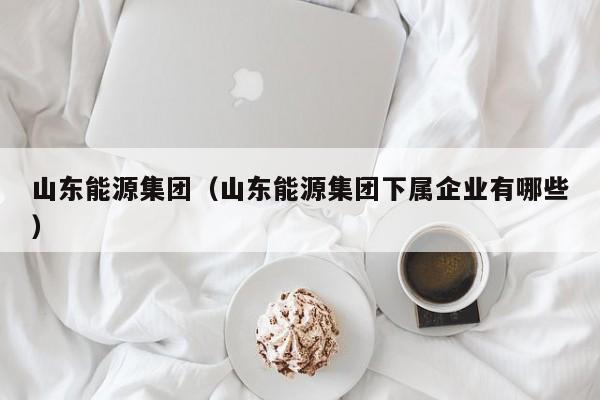 山东能源集团(山东能源集团下属企业有哪些)