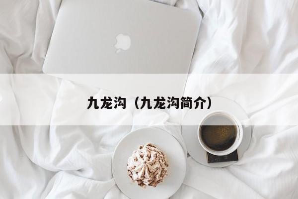 九龙沟(九龙沟简介)
