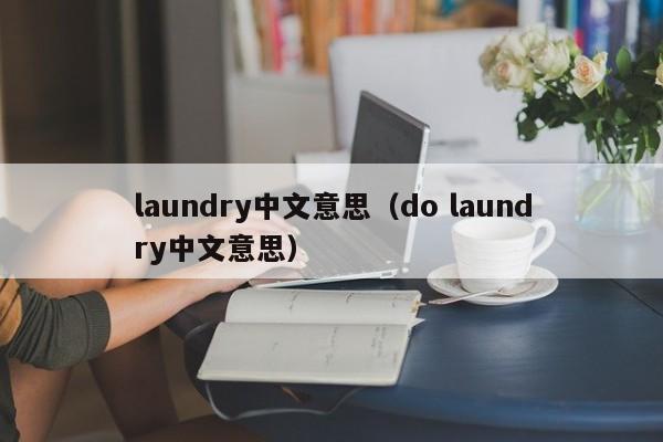 laundry中文意思(do laundry中文意思)