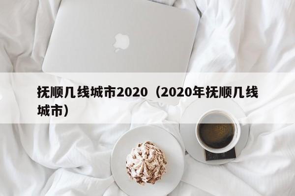 抚顺几线城市2020(2020年抚顺几线城市)