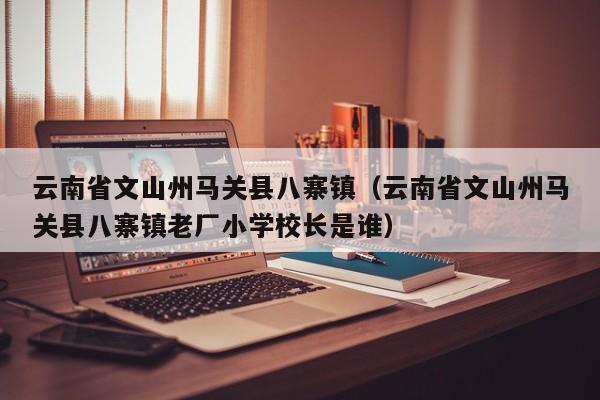 云南省文山州马关县八寨镇(云南省文山州马关县八寨镇老厂小学校长是谁)