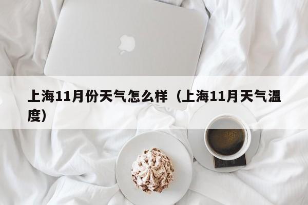 上海11月份天气怎么样(上海11月天气温度)
