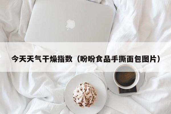 今天天气干燥指数(盼盼食品手撕面包图片)