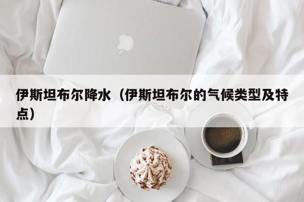 伊斯坦布尔降水(伊斯坦布尔的气候类型及特点)