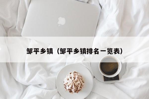 邹平乡镇(邹平乡镇排名一览表)
