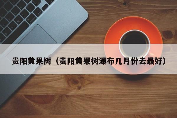 贵阳黄果树(贵阳黄果树瀑布几月份去最好)