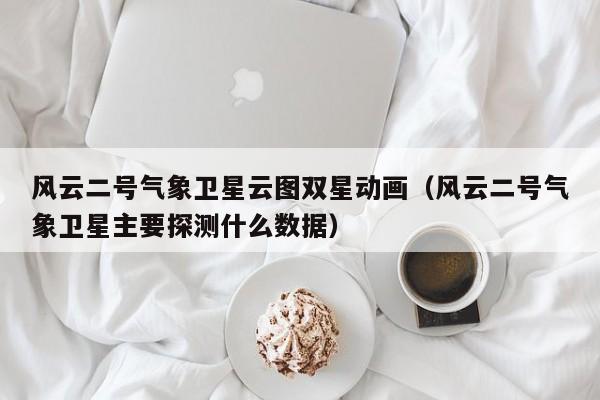 风云二号气象卫星云图双星动画(风云二号气象卫星主要探测什么数据)