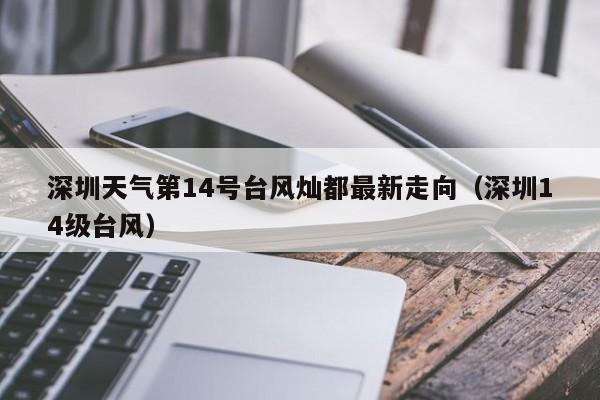 深圳天气第14号台风灿都最新走向(深圳14级台风)
