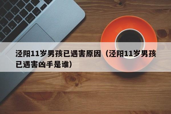 泾阳11岁男孩已遇害原因(泾阳11岁男孩已遇害凶手是谁)