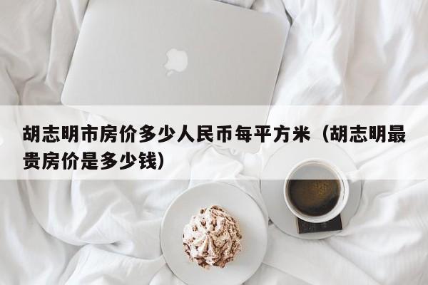 胡志明市房价多少人民币每平方米(胡志明最贵房价是多少钱)