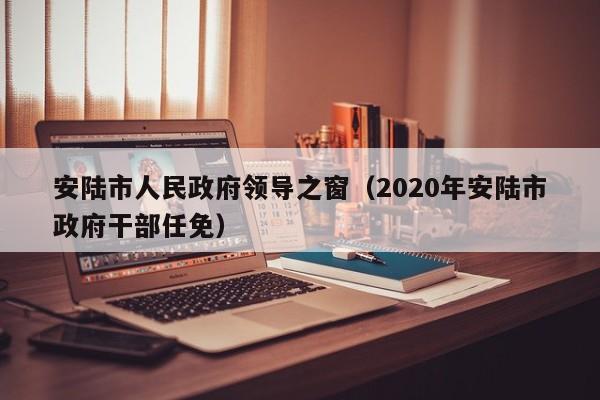 安陆市人民政府领导之窗(2020年安陆市政府干部任免)