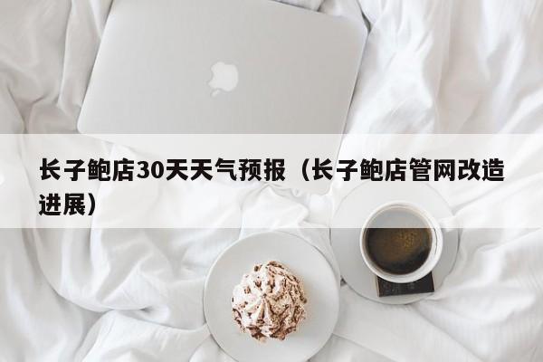 长子鲍店30天天气预报(长子鲍店管网改造进展)