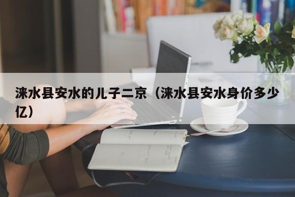 涞水县安水的儿子二京(涞水县安水身价多少亿)