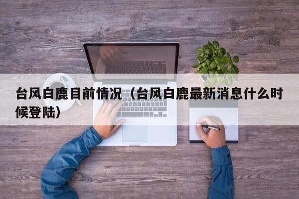台风白鹿目前情况(台风白鹿最新消息什么时候登陆)