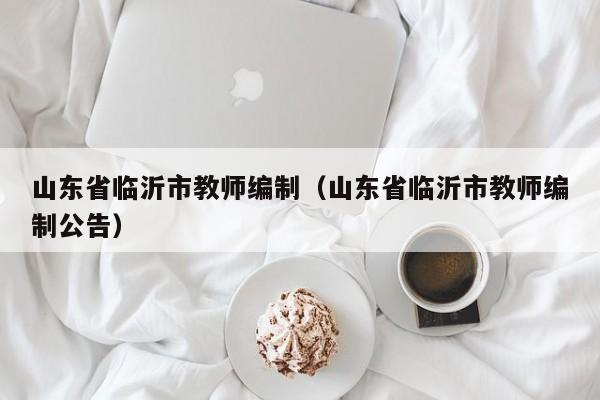 山东省临沂市教师编制(山东省临沂市教师编制公告)